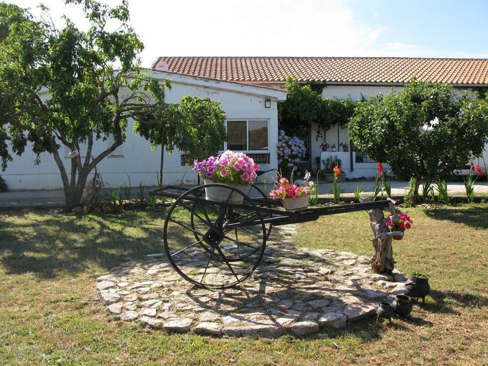 El Condado Casa Rural Fuentes de Onoro 외부 사진